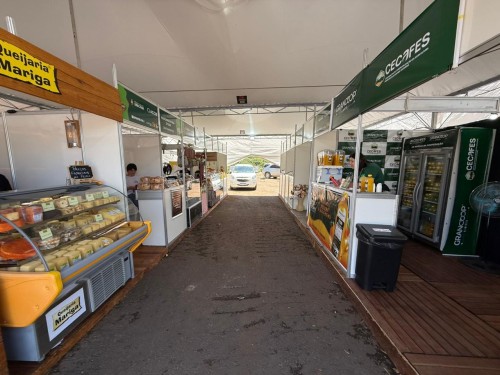 WhatsApp Image 2025-11-20 at 20