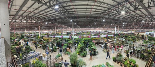 001 horti