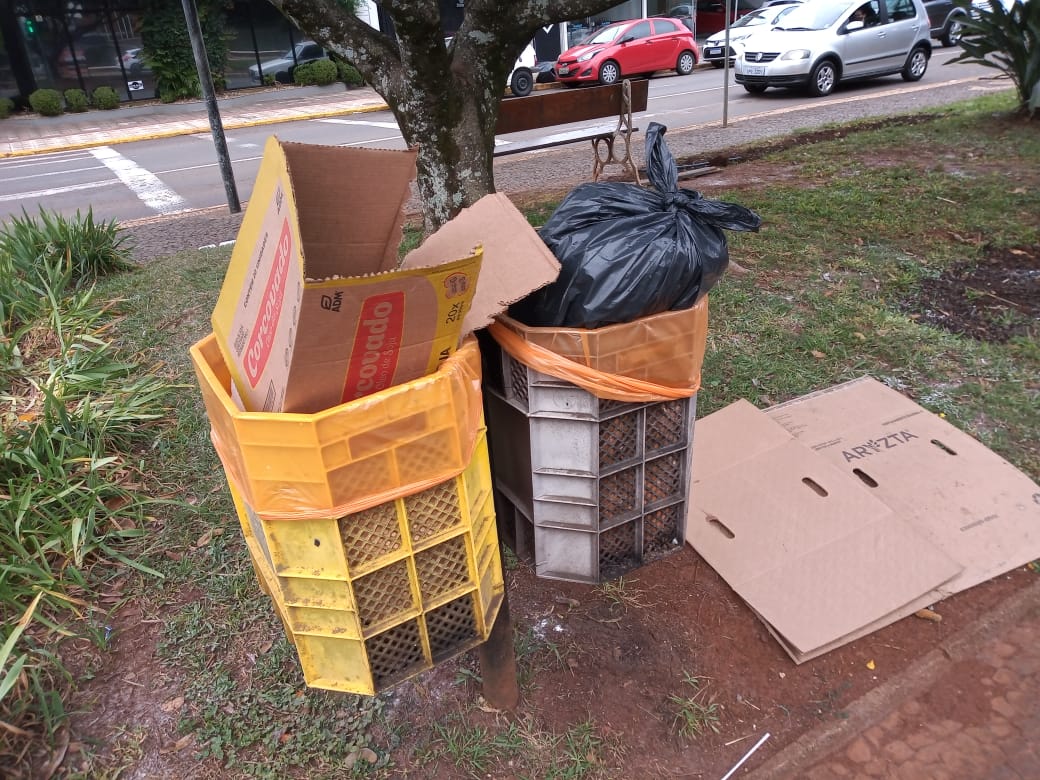  Lixeiras p?blicas s?o exclusivas para uso de pedestres 