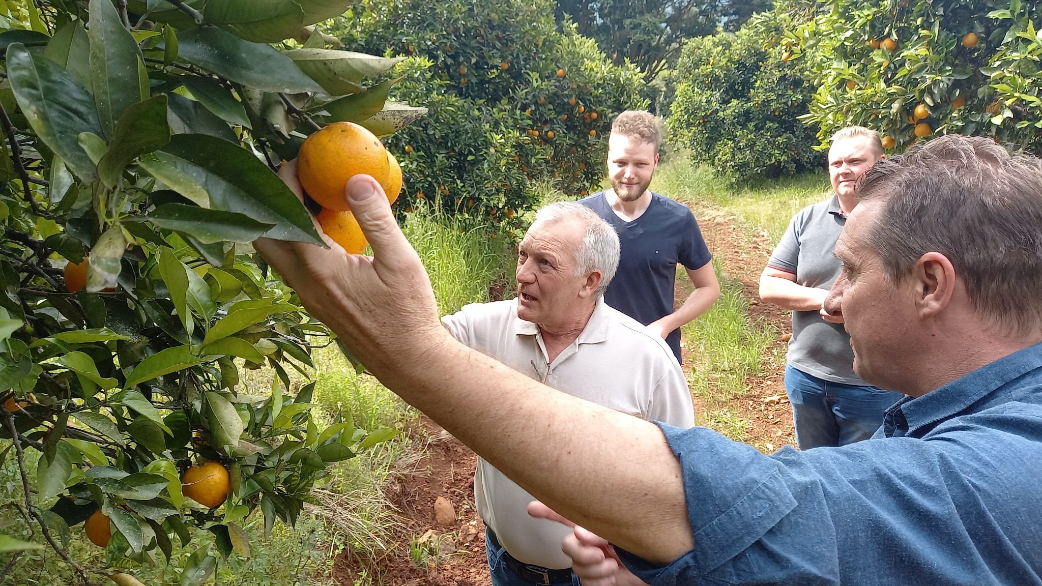  Prefeito Paulo Polis visita família Bertochi produtora de cítricos 