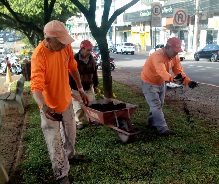  Secretaria do Meio Ambiente realiza aplica??o de h?mus nos canteiros centrais 