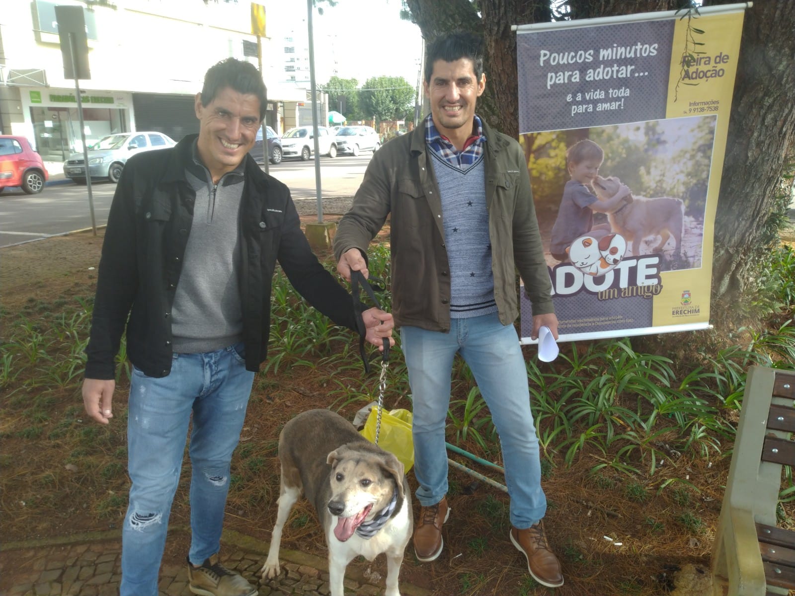  90 adoções e mais de 400 castrações: Meio Ambiente apresenta os números da proteção animal em Erechim 