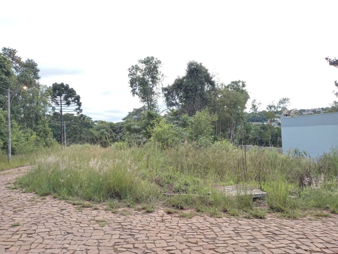  Secretaria de Meio Ambiente faz um alerta sobre a limpeza de terrenos 