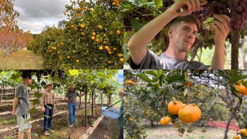 Secretaria de Agricultura fortalece o desenvolvimento do campo com investimentos e apoio permanente aos produtores