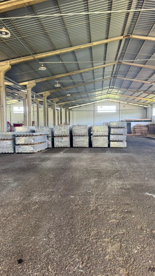 WhatsApp Image 2026-01-20 at 13