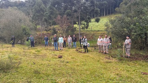 Revitalização do Centro de Erechim continua: retirada de árvores comprometidas da Maurício Cardoso fazem parte do projeto