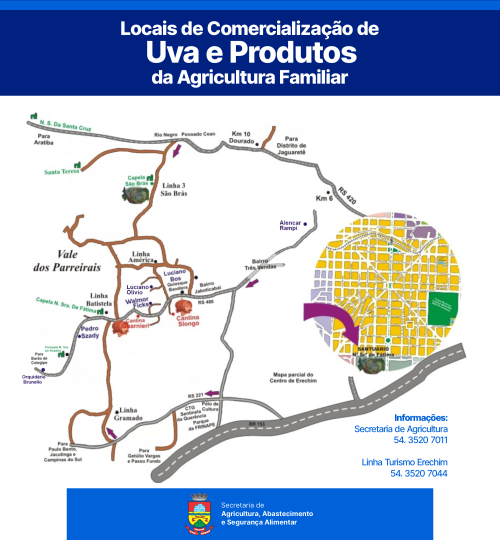 Comercializa??o da uva ser? direto nas propriedades em 2023