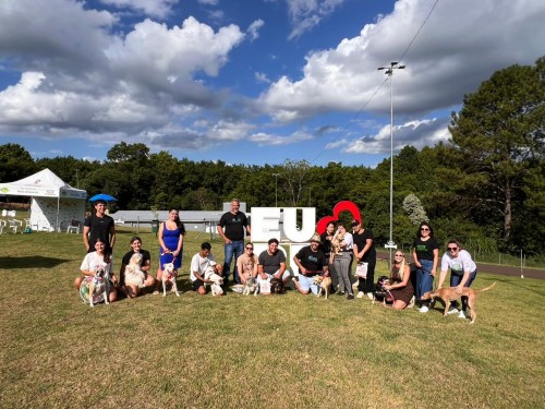 Revitalização de áreas públicas segue em ritmo acelerado