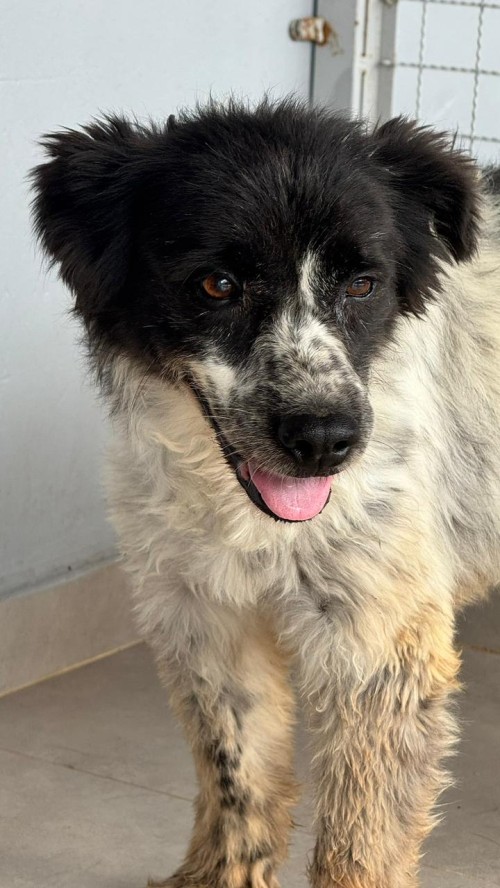 WhatsApp Image 2026-01-22 at 09