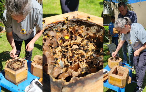 Erechim realiza Dia D de Multivacinação no dia 18 de outubro