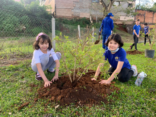 Programa Erechim Mais Verde nas escolas continua com for?a total