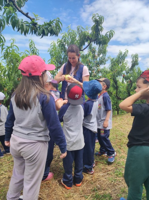 WhatsApp Image 2025-11-19 at 09