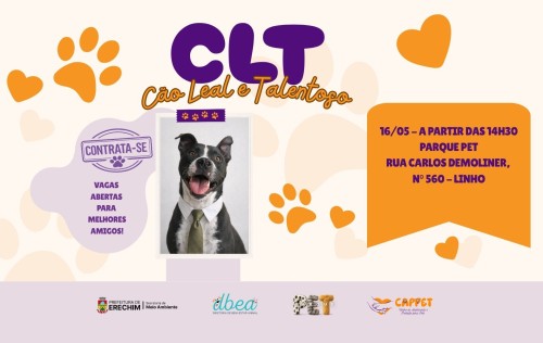 Feira de Adoção de cachorros acontece no próximo fim de semana no Parque Pet