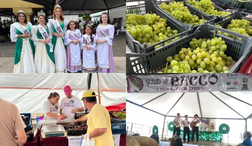 Festa di Bacco 2024 valoriza produtores rurais e cultura italiana