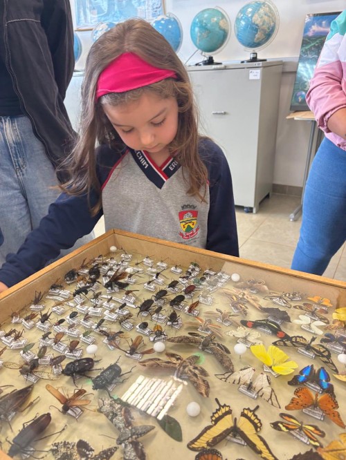 WhatsApp Image 2025-11-18 at 08