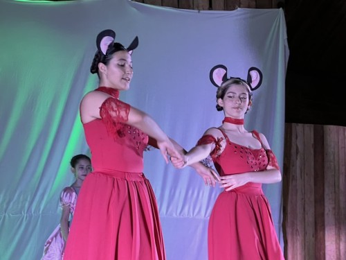 595198766_1272582938246647_390142720279079012_n