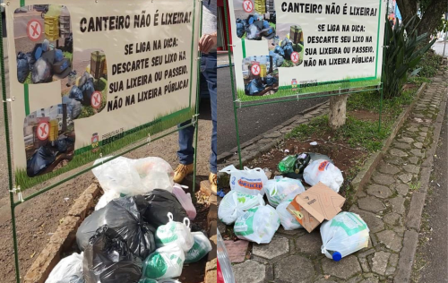 Secretaria de Meio Ambiente fortalece ações ambientais e sociais no primeiro semestre de 2025
