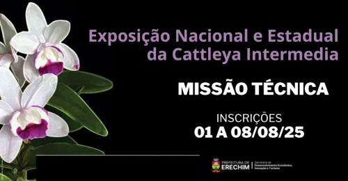 Feirão do Microcrédito na próxima semana vai oferecer condições especiais para empreendedores em Erechim 