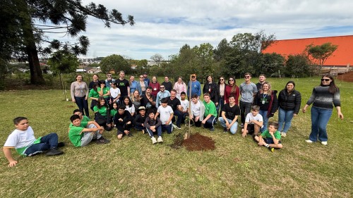 Secretaria de Meio Ambiente inaugura quinto Bosque Urbano e o primeiro espaço público com araucária enxertada
