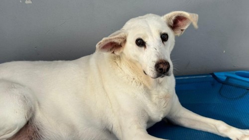 WhatsApp Image 2026-01-22 at 09