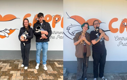Centro de Acolhimento e Proteção para Pets regis