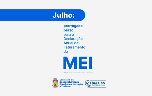 Aten??o MEI! Prorrogado o prazo para a Declara??o Anual de Faturamento para os ga?chos