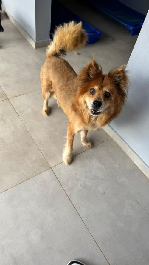 WhatsApp Image 2026-01-22 at 09