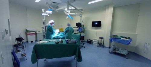 Assessoria em Bras?lia viabiliza mais de 20 milh?es de reais em 3 anos