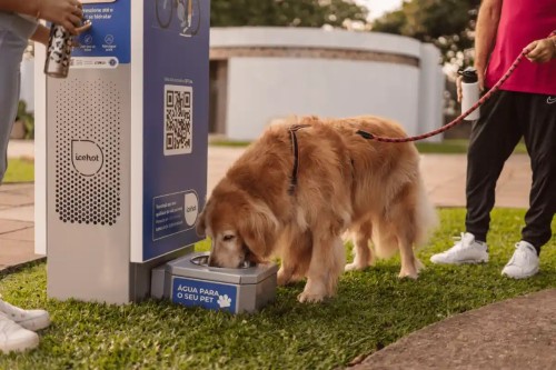 Prefeitura instala bebedouros para pessoas e pets em Parques Municipais