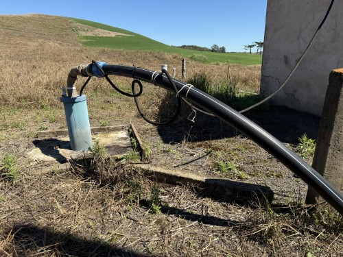 Produção leiteira com tecnologia de confinamento cresce no Distrito de Capoerê 