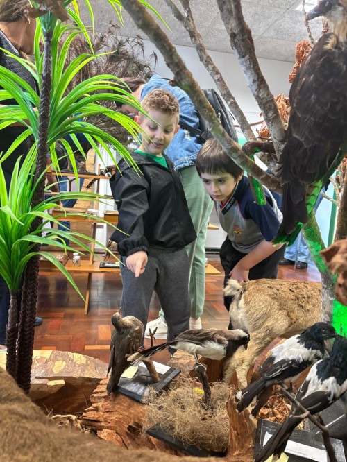 WhatsApp Image 2025-11-18 at 08