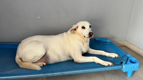 WhatsApp Image 2026-01-22 at 09