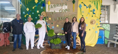 Produtor entrega alfaces às Escolas Municipais co