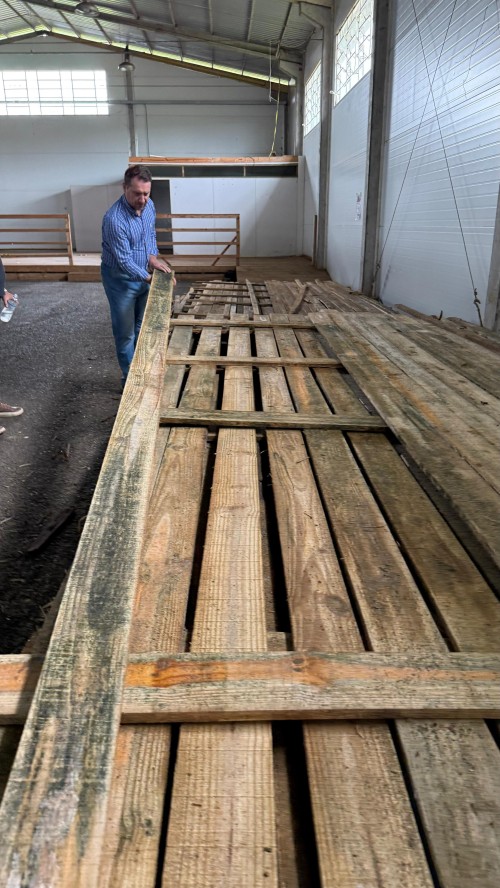 WhatsApp Image 2025-12-29 at 10