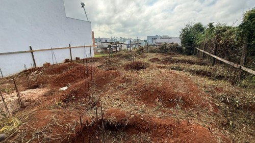 WhatsApp Image 2026-03-31 at 09