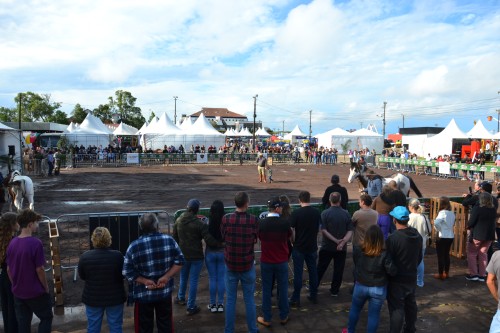 1ª Mostra está perto do público (2)