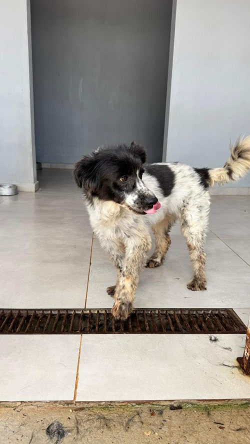 WhatsApp Image 2026-01-22 at 09