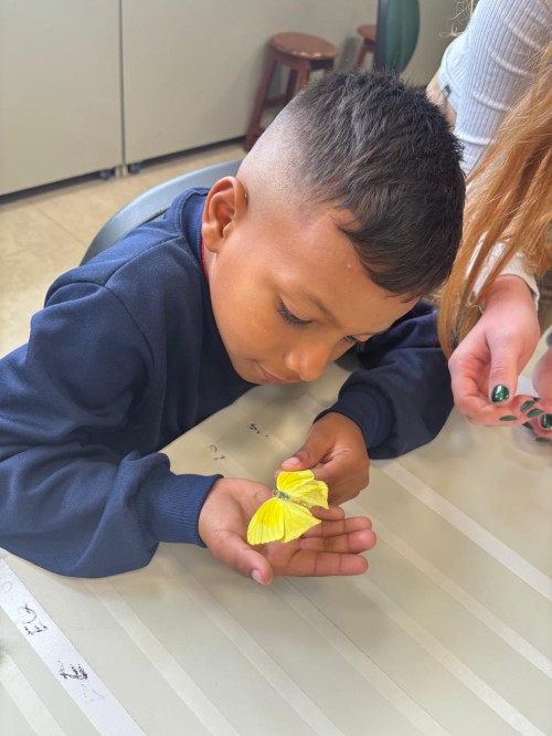 WhatsApp Image 2025-11-18 at 08