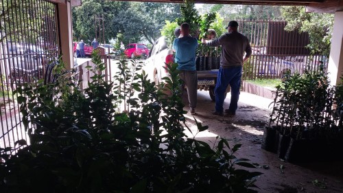 WhatsApp Image 2026-09-03 at 16
