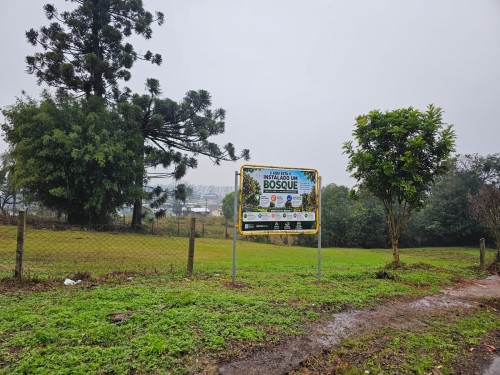 Erechim vai criar 25 bosques urbanos com árvores nativas, frutíferas e araucárias enxertadas 