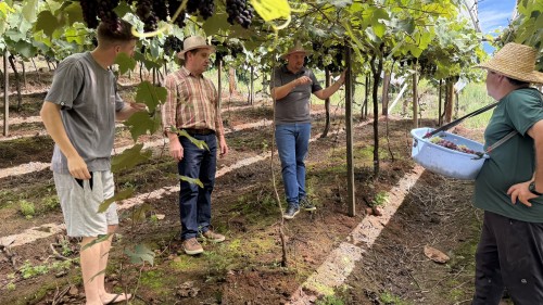 Programa Pr?-Jovem Rural fortalece perman?ncia da juventude no campo e impulsiona a produ??o sustent?vel em Erechim