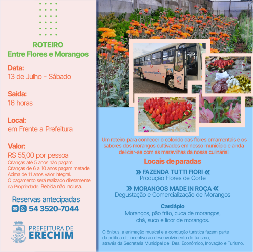 Roteiro Entre Flores e Morangos