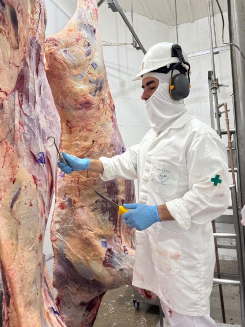 WhatsApp Image 2026-01-29 at 08