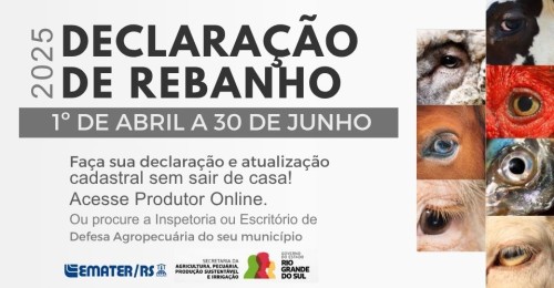 Produtores devem fazer a Declaração Anual de Rebanho até 30 de junho