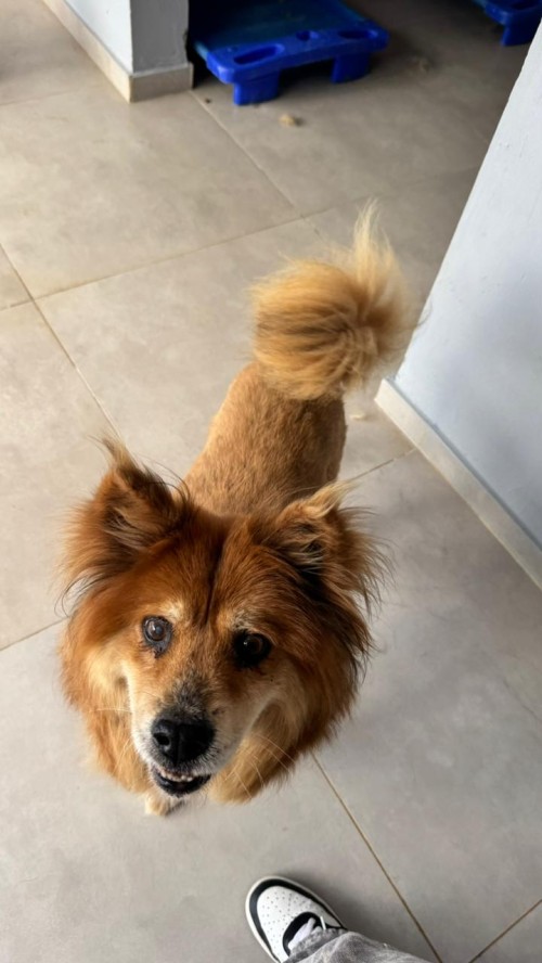 WhatsApp Image 2026-01-22 at 09