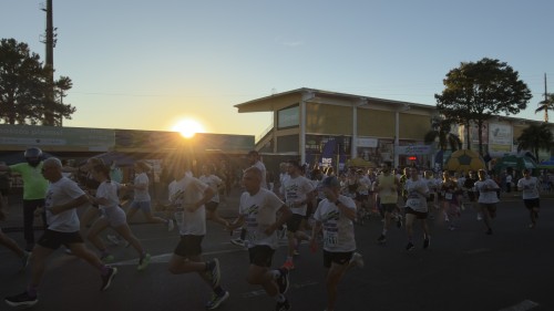 55175448031_63762b5683_o