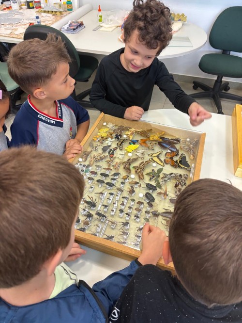 WhatsApp Image 2025-11-18 at 08