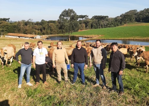 Equipe de Erechim conhece projeto de gado a pasto em Conc?rdia