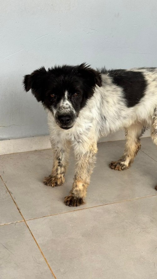 WhatsApp Image 2026-01-22 at 09