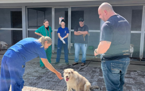 CAPPET: transformar informação em melhorias e mais resultados nos serviços públicos 